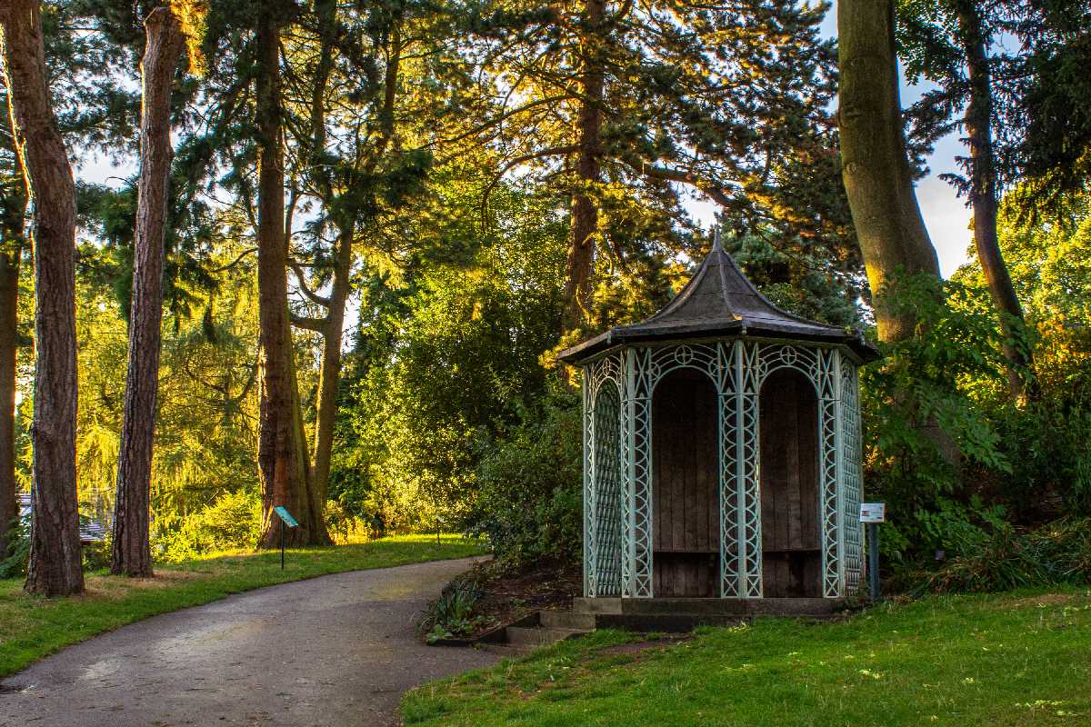 Golden evening sun behind the summer house at the Botanical Gardens.